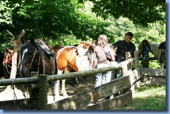 2 persons beside a saddled horse.